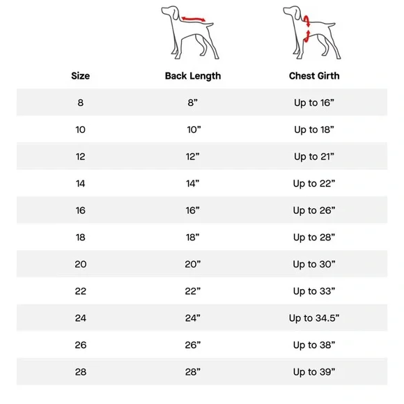 CANADA POOCH PICK ME STRAWBERRY PONCHO SIZE 12 - Picture 5 of 5